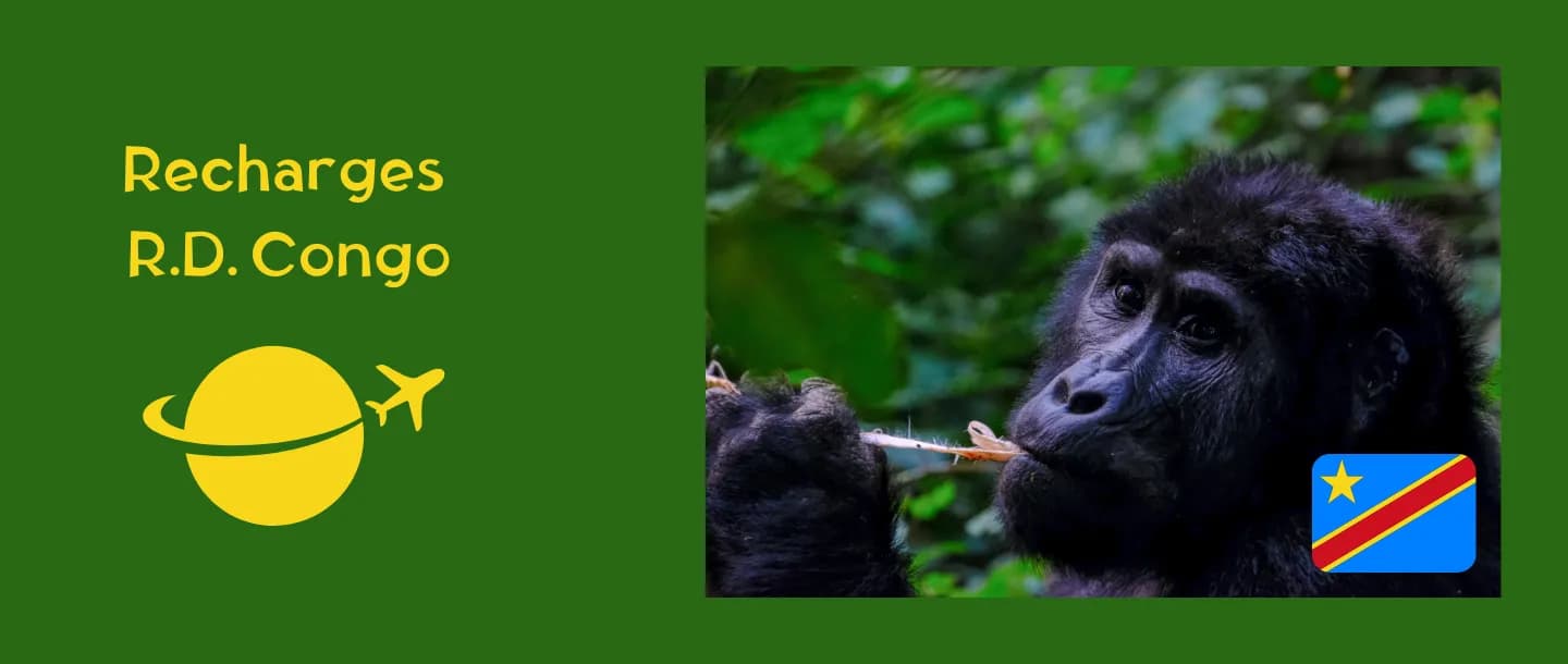 Recharges mobiles pour la R.D. Congo avec Joxko !